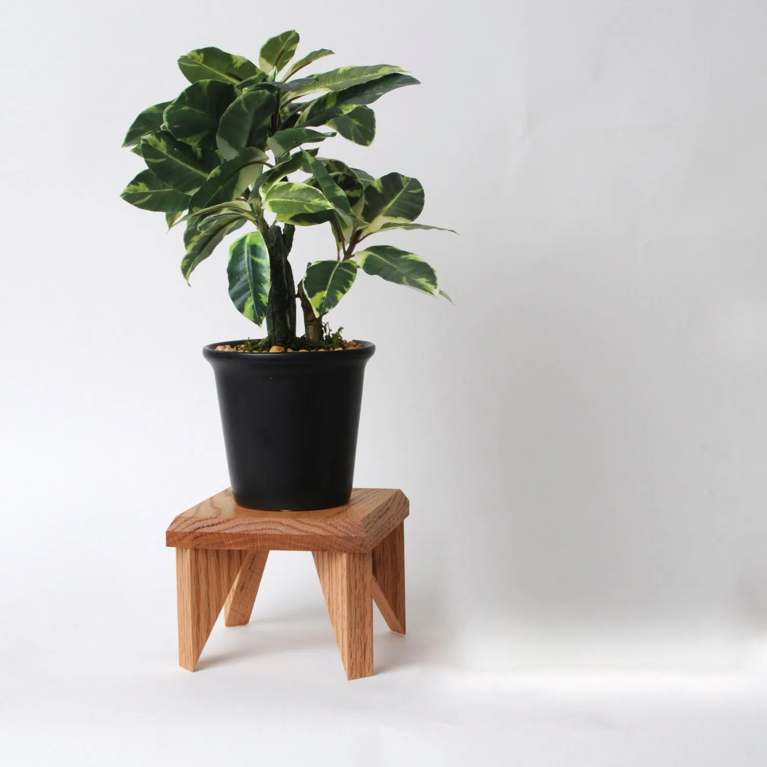 Geometric Plant Stand Oak Wood, Walnut Wood Display Stand