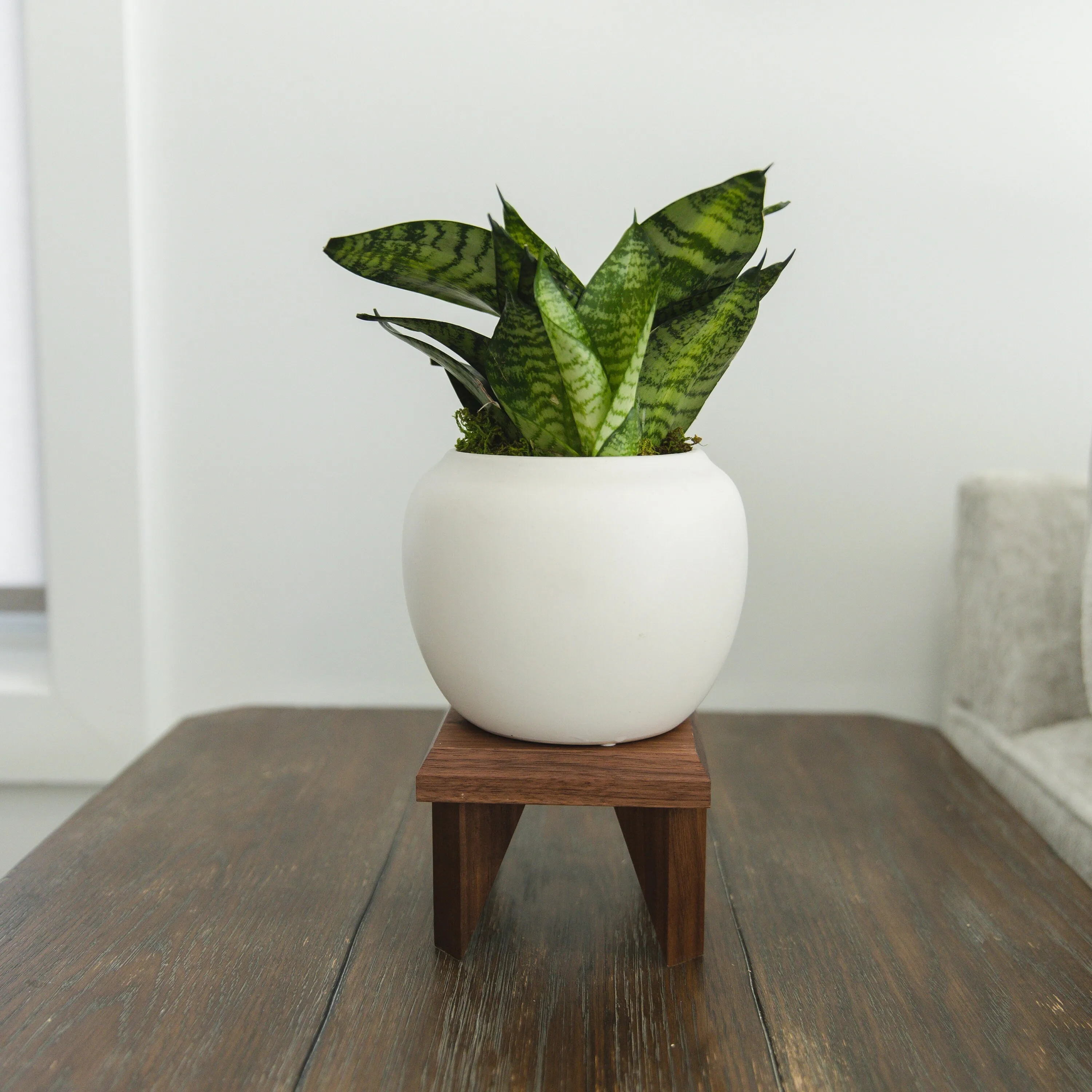Geometric Plant Stand Oak Wood, Walnut Wood Display Stand